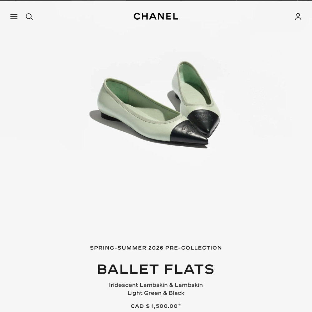 Chanel Black Women's pointed lambskin ballet flats and dustbags - Picture 8 of 8